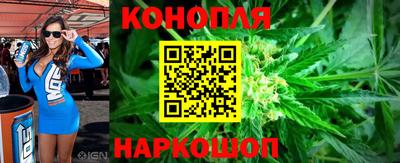 apvp Ирбит