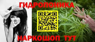apvp Ирбит