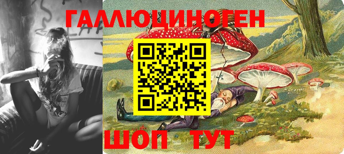 Псилоцибиновые грибы Cubensis Лабинск